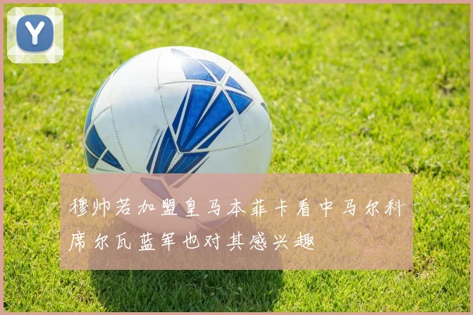 穆帅若加盟皇马本菲卡看中马尔科席尔瓦蓝军也对其感兴趣